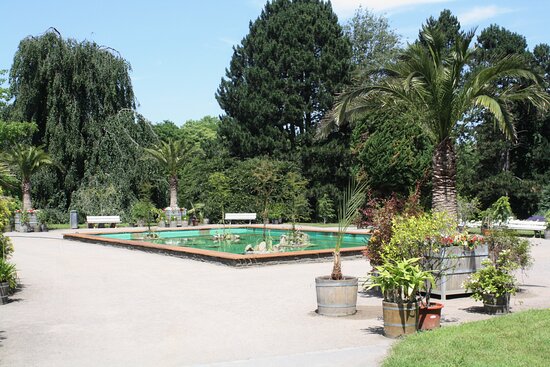 https://mdw-travel-data-us-east-1.s3.amazonaws.com/img/country/Germany/The-Botanische-Garten-Rombergpark/img_03.jpg