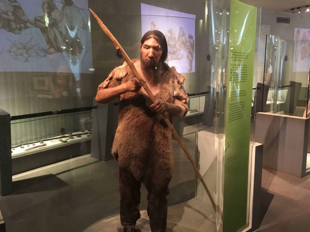 https://mdw-travel-data-us-east-1.s3.amazonaws.com/img/country/Germany/The-Neanderthal-Museum/img_02.jpg