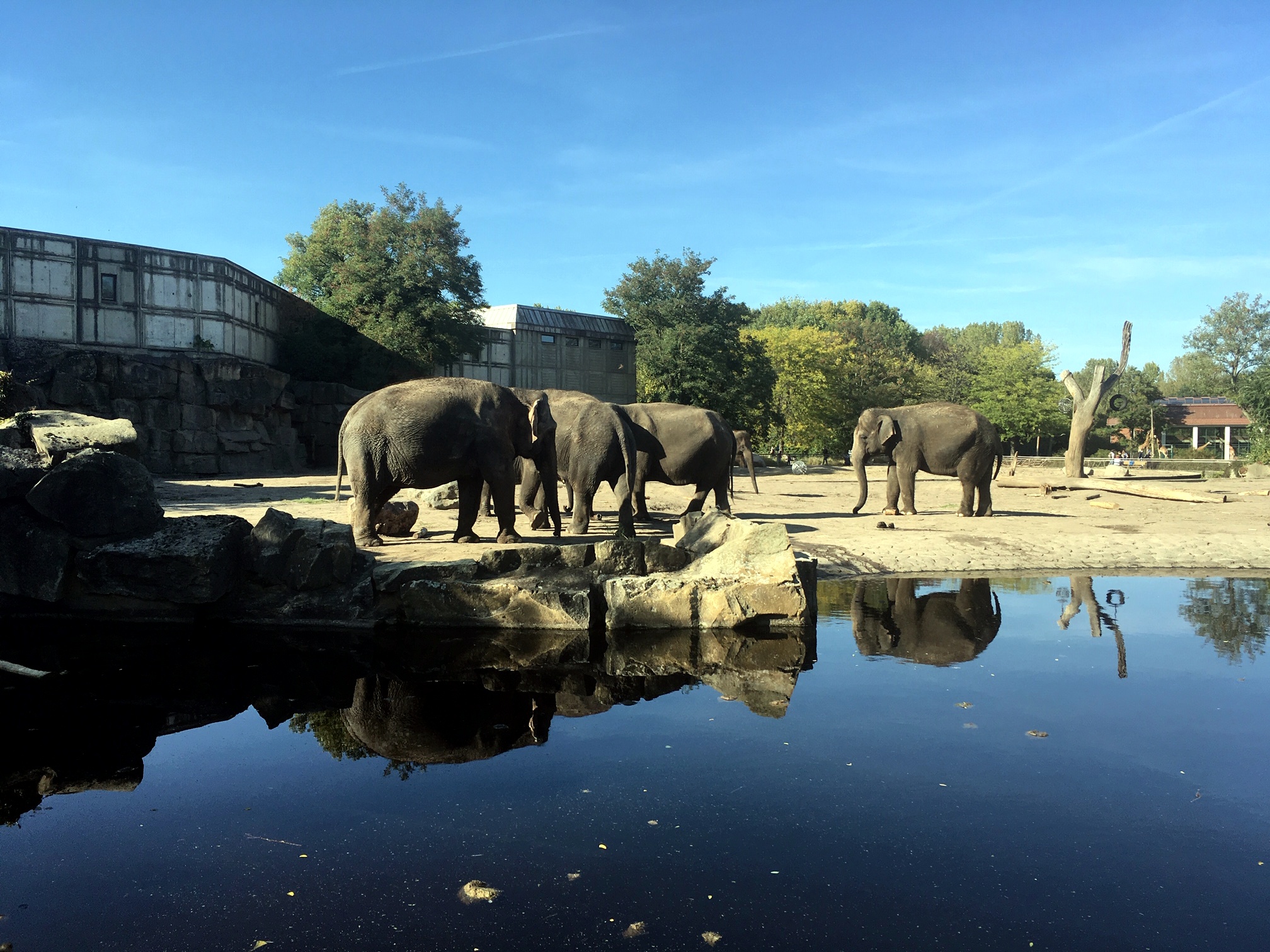 https://mdw-travel-data-us-east-1.s3.amazonaws.com/img/country/Germany/Tierpark-Berlin/img_01.jpg