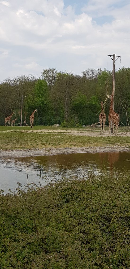 https://mdw-travel-data-us-east-1.s3.amazonaws.com/img/country/Germany/Tierpark-Berlin/img_03.jpg