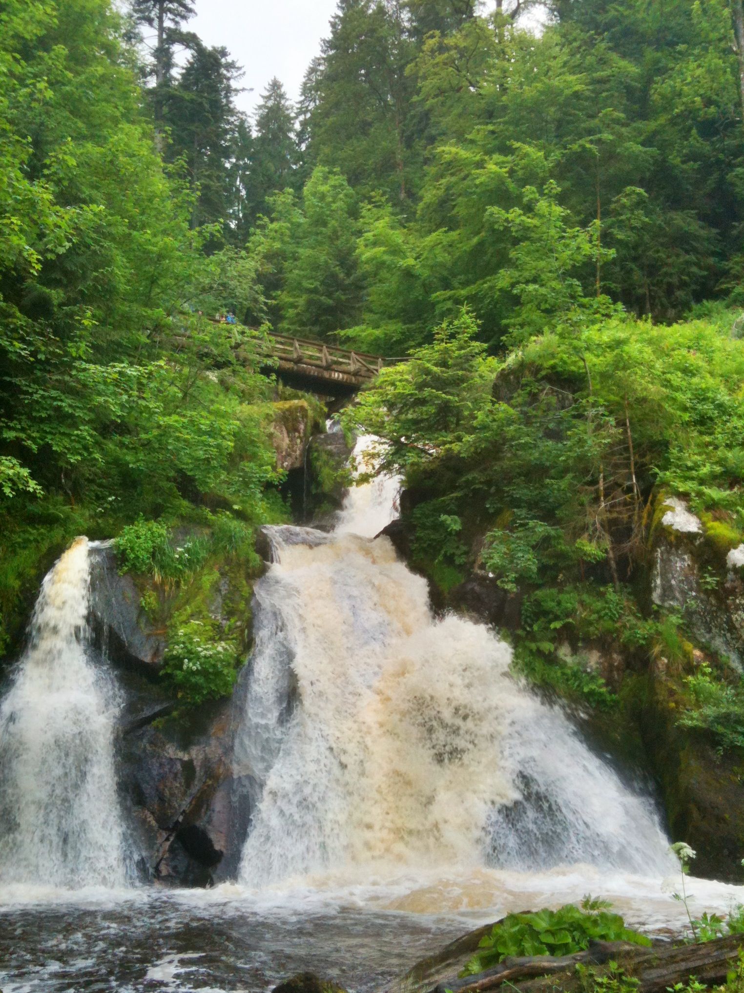 https://mdw-travel-data-us-east-1.s3.amazonaws.com/img/country/Germany/Triberg-Waterfalls/img_01.jpg