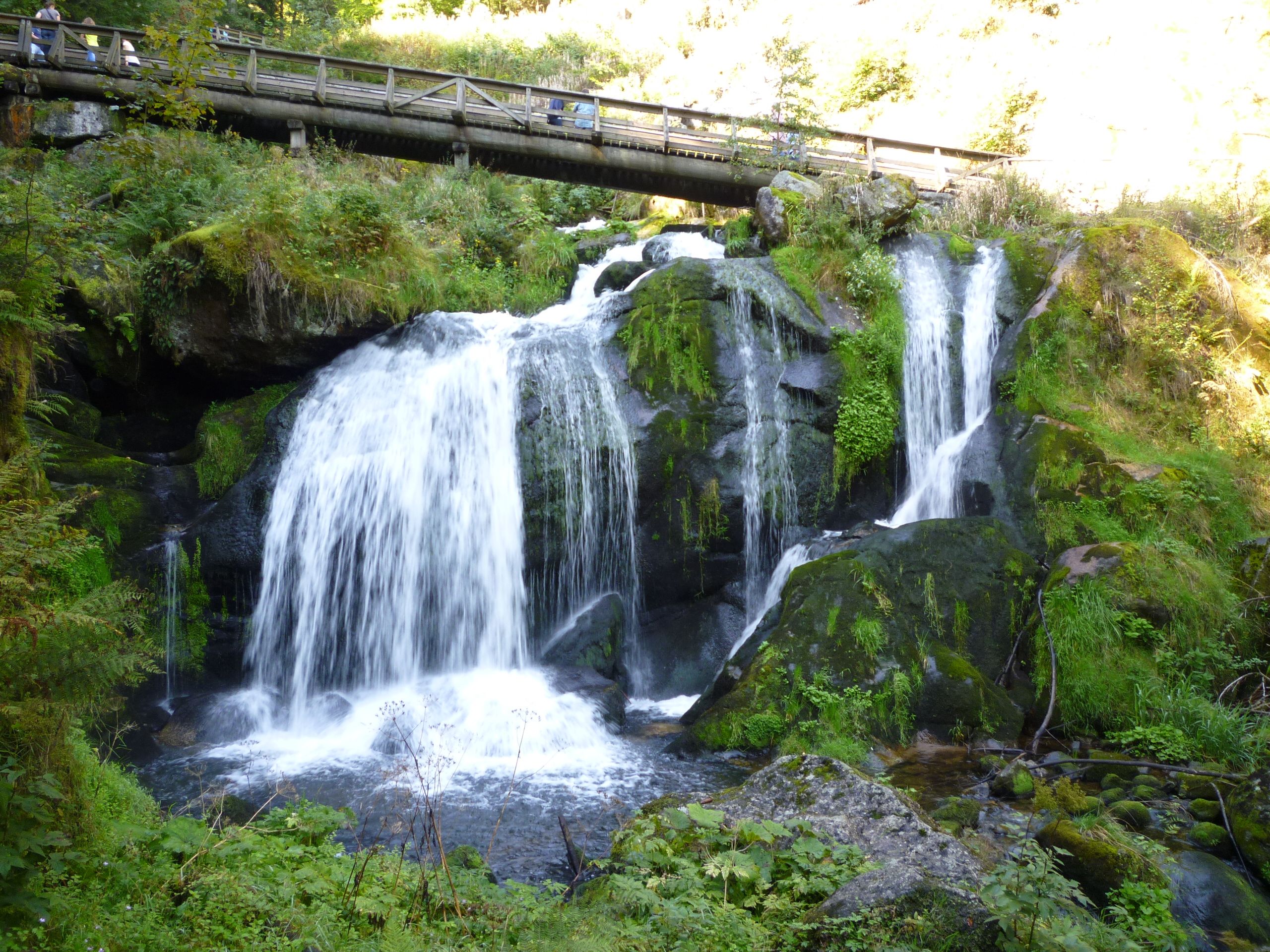 https://mdw-travel-data-us-east-1.s3.amazonaws.com/img/country/Germany/Triberg-Waterfalls/img_03.jpg