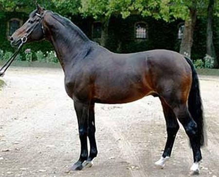 https://mdw-travel-data-us-east-1.s3.amazonaws.com/img/country/Germany/Westfalian-Horse-Museum/img_00.jpg