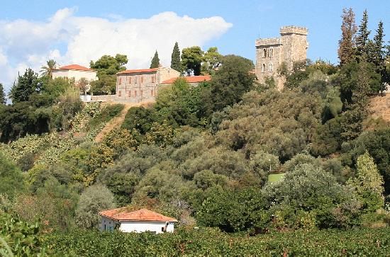 https://mdw-travel-data-us-east-1.s3.amazonaws.com/img/country/Greece/Achaia-Clauss-Winery/img_02.jpg