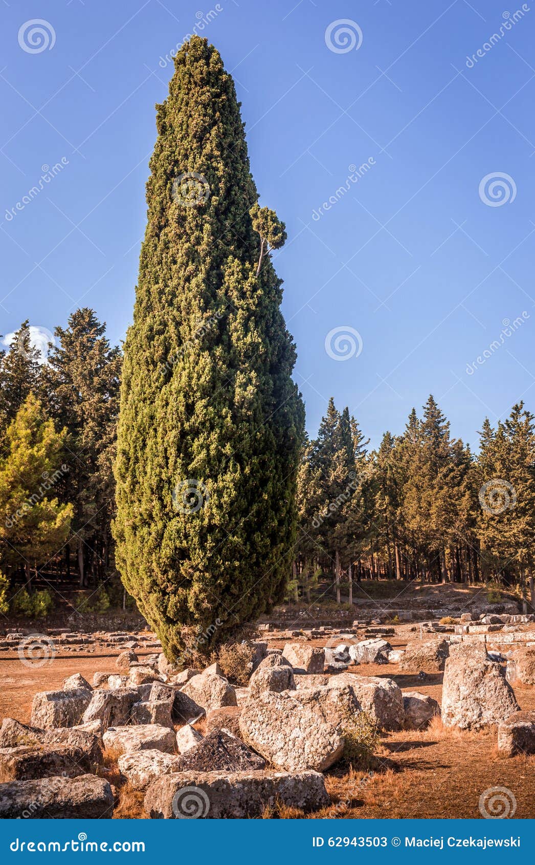 https://mdw-travel-data-us-east-1.s3.amazonaws.com/img/country/Greece/Asclepeion/img_02.jpg