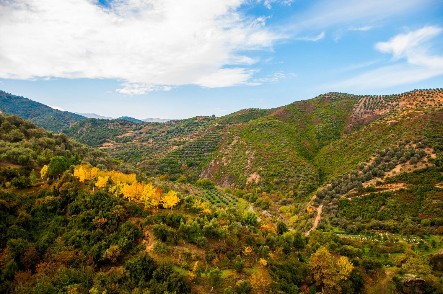https://mdw-travel-data-us-east-1.s3.amazonaws.com/img/country/Greece/Botanical-Park-&-Gardens-of-Crete/img_02.jpg