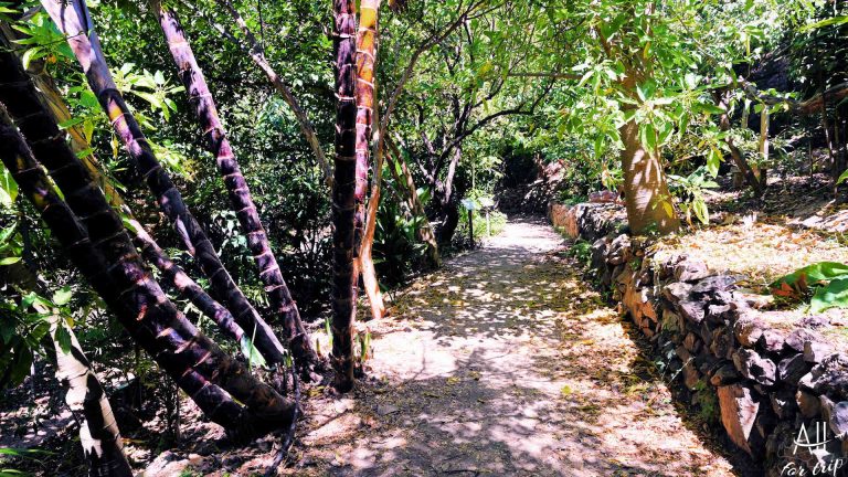 https://mdw-travel-data-us-east-1.s3.amazonaws.com/img/country/Greece/Botanical-Park-&-Gardens-of-Crete/img_03.jpg