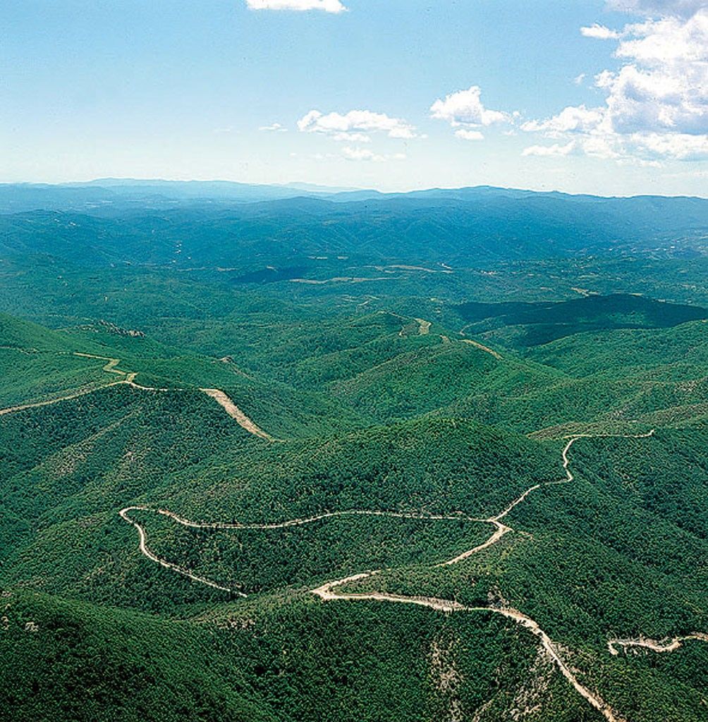 https://mdw-travel-data-us-east-1.s3.amazonaws.com/img/country/Greece/Dadia-Forest/img_01.jpg