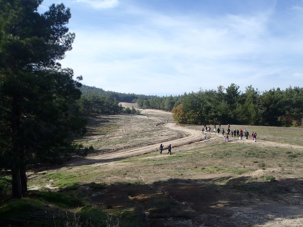 https://mdw-travel-data-us-east-1.s3.amazonaws.com/img/country/Greece/Dadia-Forest/img_02.jpg