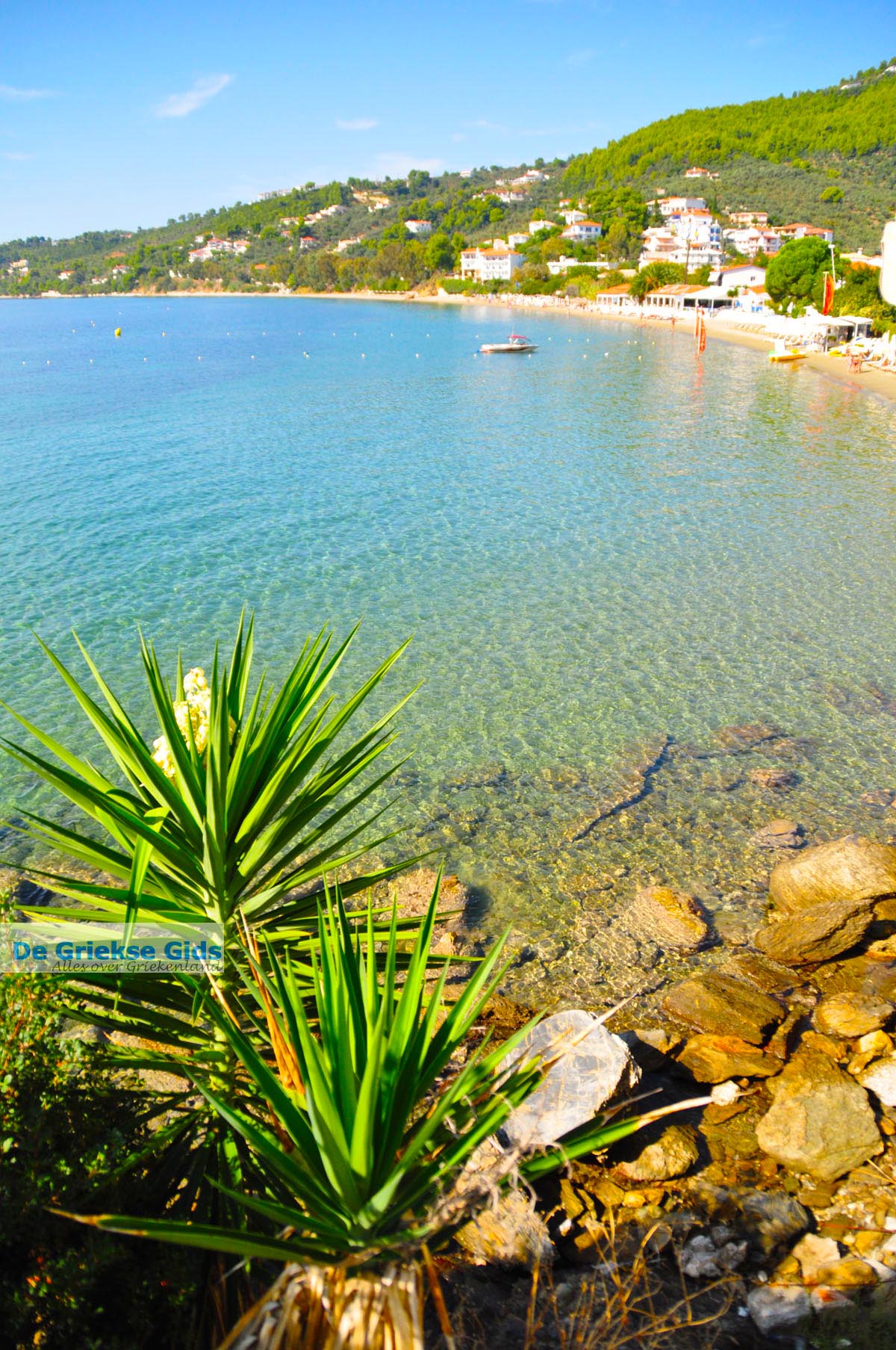 https://mdw-travel-data-us-east-1.s3.amazonaws.com/img/country/Greece/Ftelia/img_02.jpg