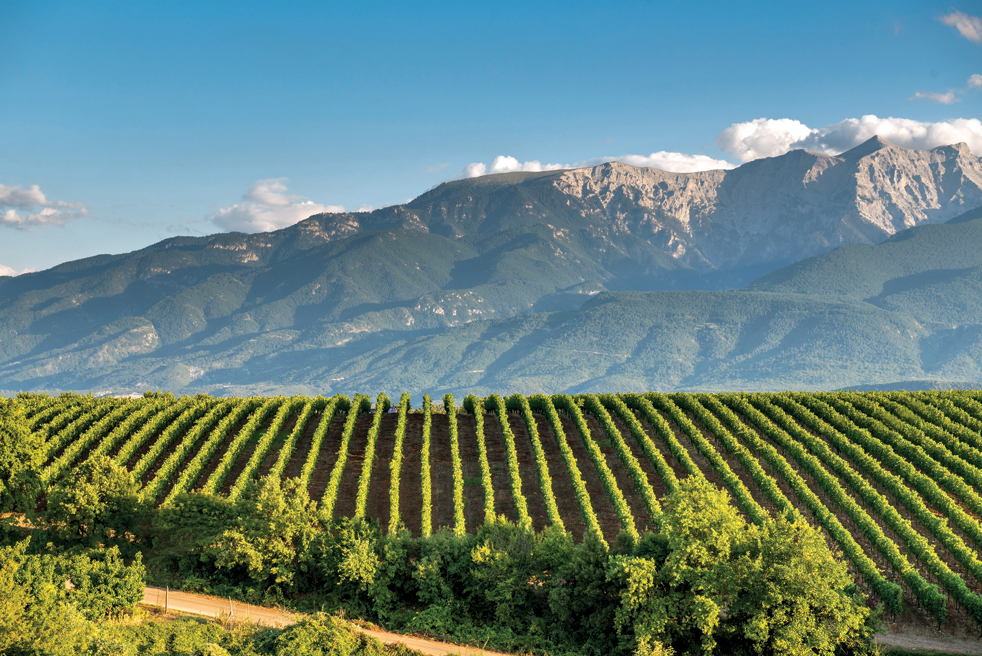 https://mdw-travel-data-us-east-1.s3.amazonaws.com/img/country/Greece/Goumenissa-Wine-Route/img_02.jpg