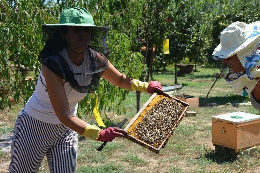 https://mdw-travel-data-us-east-1.s3.amazonaws.com/img/country/Greece/Klios-Honey-Farm/img_03.jpg