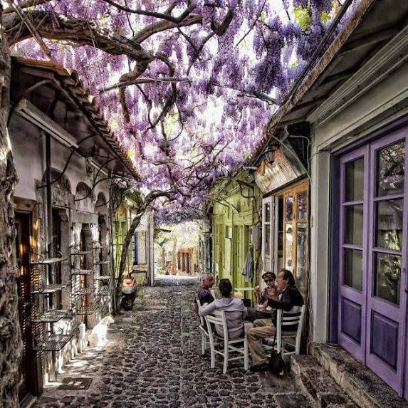 https://mdw-travel-data-us-east-1.s3.amazonaws.com/img/country/Greece/Mithymna--Molyvos--Village/img_03.jpg