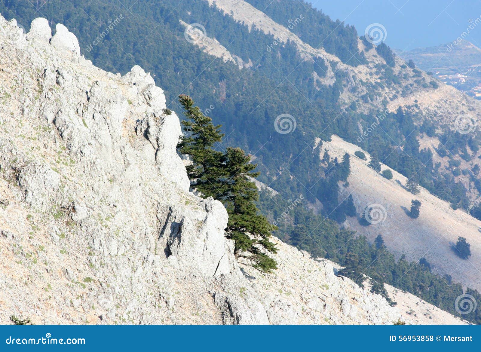 https://mdw-travel-data-us-east-1.s3.amazonaws.com/img/country/Greece/Mount-Ainos/img_05.jpg