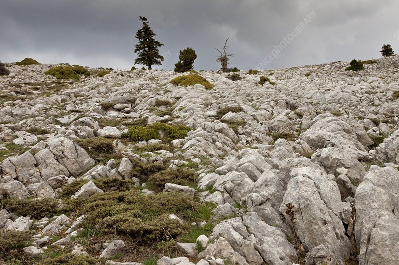 https://mdw-travel-data-us-east-1.s3.amazonaws.com/img/country/Greece/Mount-Parnassus/img_05.jpg