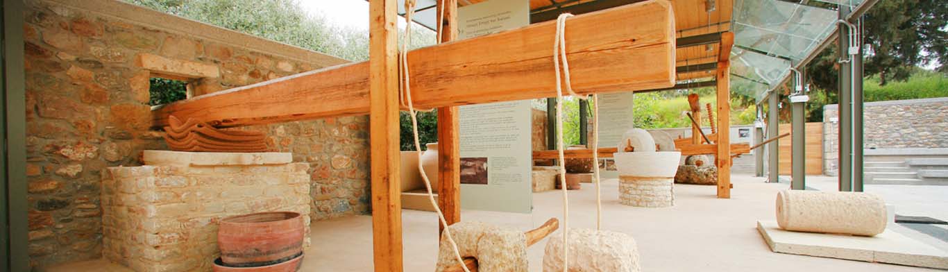 https://mdw-travel-data-us-east-1.s3.amazonaws.com/img/country/Greece/Pelion-Olive-Oil-Museum/img_01.jpg