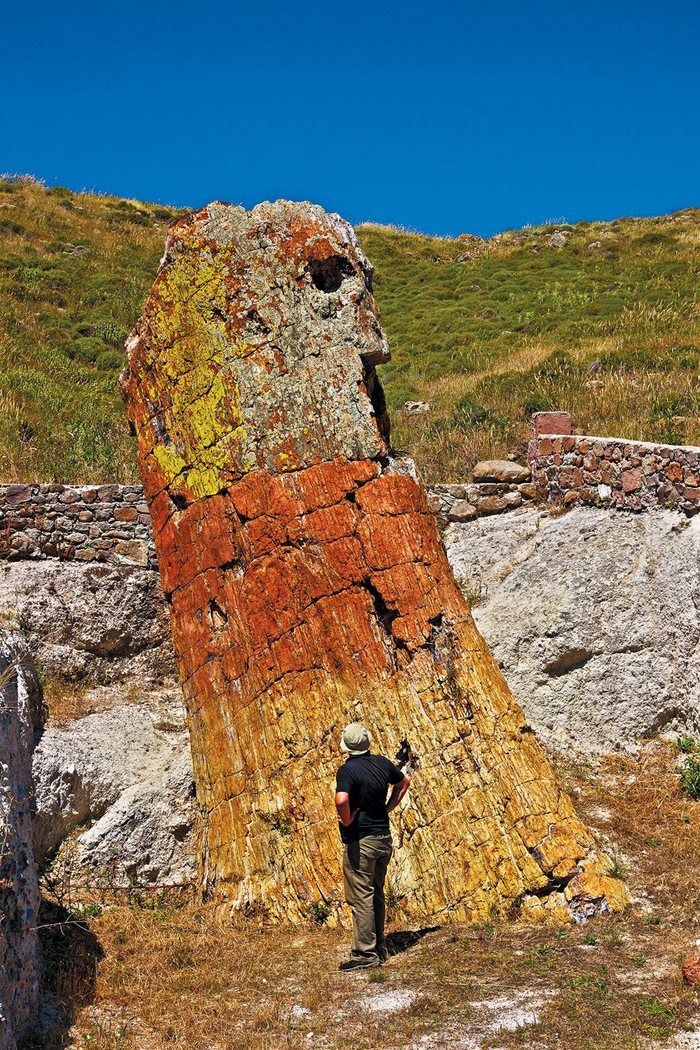 https://mdw-travel-data-us-east-1.s3.amazonaws.com/img/country/Greece/Petrified-Forest-Museum-of-Sigri/img_00.jpg