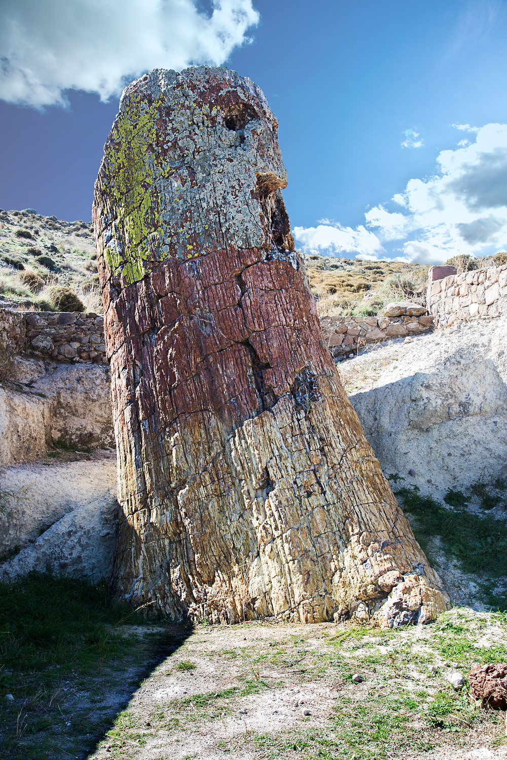 https://mdw-travel-data-us-east-1.s3.amazonaws.com/img/country/Greece/Petrified-Forest-of-Lesbos/img_01.jpg