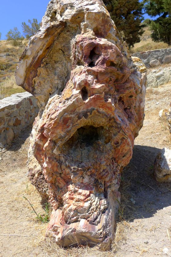 https://mdw-travel-data-us-east-1.s3.amazonaws.com/img/country/Greece/Petrified-Forest-of-Lesbos/img_02.jpg