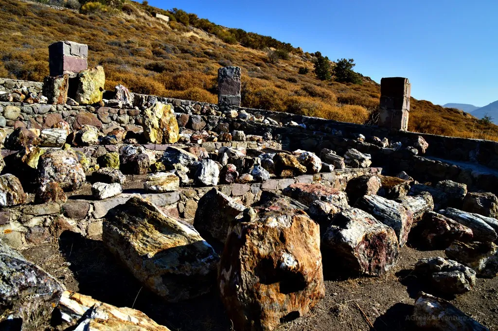 https://mdw-travel-data-us-east-1.s3.amazonaws.com/img/country/Greece/Petrified-Forest-of-Lesbos/img_03.jpg