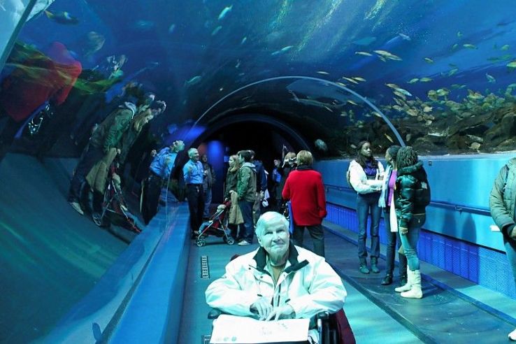 https://mdw-travel-data-us-east-1.s3.amazonaws.com/img/country/Greece/Rhodes-Aquarium/img_01.jpg