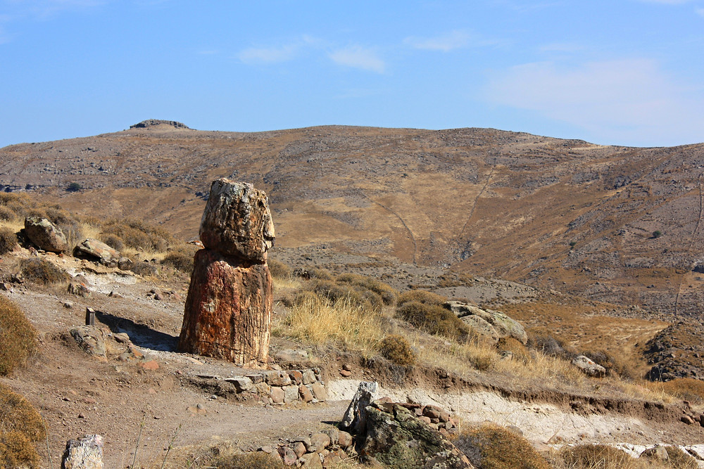 https://mdw-travel-data-us-east-1.s3.amazonaws.com/img/country/Greece/The-Petrified-Forest-of-Lesvos/img_03.jpg