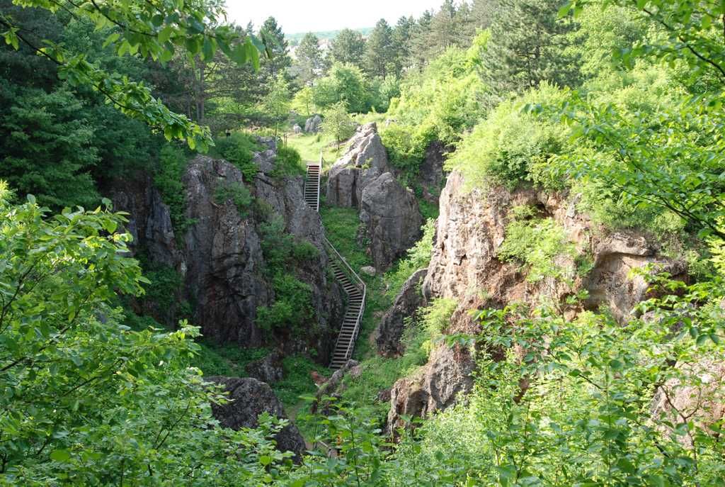 https://mdw-travel-data-us-east-1.s3.amazonaws.com/img/country/Hungary/Bakony-Hills/img_01.jpg