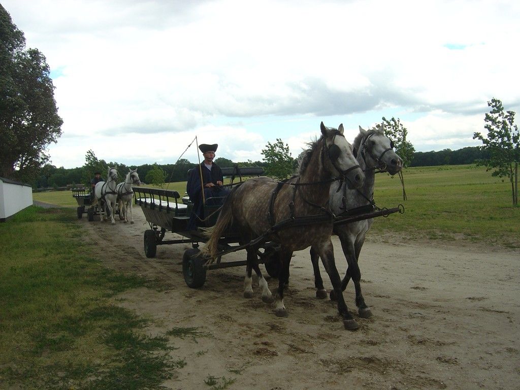 https://mdw-travel-data-us-east-1.s3.amazonaws.com/img/country/Hungary/Bugac-Puszta/img_00.jpg