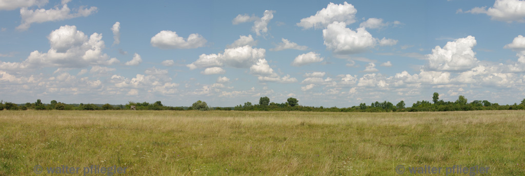 https://mdw-travel-data-us-east-1.s3.amazonaws.com/img/country/Hungary/Bugac-Puszta/img_02.jpg