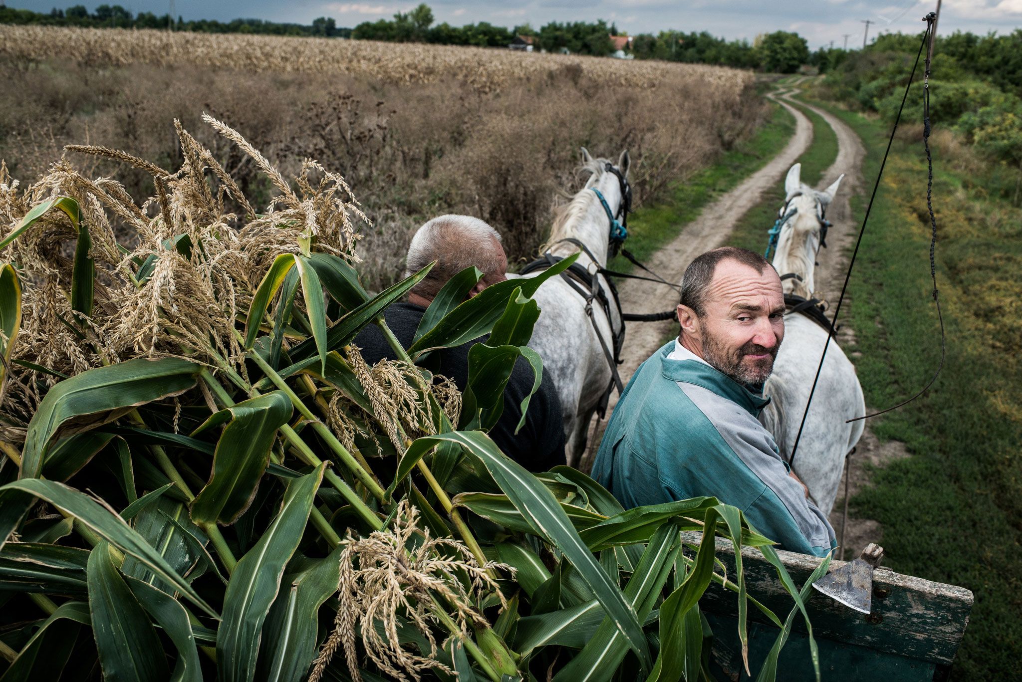 https://mdw-travel-data-us-east-1.s3.amazonaws.com/img/country/Hungary/Farm-of-the-World/img_02.jpg