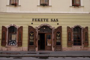 https://mdw-travel-data-us-east-1.s3.amazonaws.com/img/country/Hungary/Fekete-Sas-Pharmacy-Museum/img_01.jpg