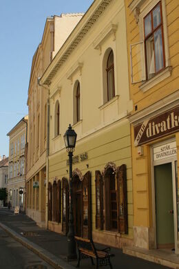 https://mdw-travel-data-us-east-1.s3.amazonaws.com/img/country/Hungary/Fekete-Sas-Pharmacy-Museum/img_03.jpg