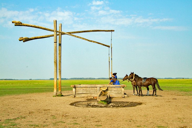 https://mdw-travel-data-us-east-1.s3.amazonaws.com/img/country/Hungary/Fukitoria-Park-Mor/img_03.jpg