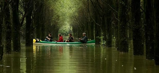 https://mdw-travel-data-us-east-1.s3.amazonaws.com/img/country/Hungary/Gemenc-Forest-and-Floodplain/img_03.jpg