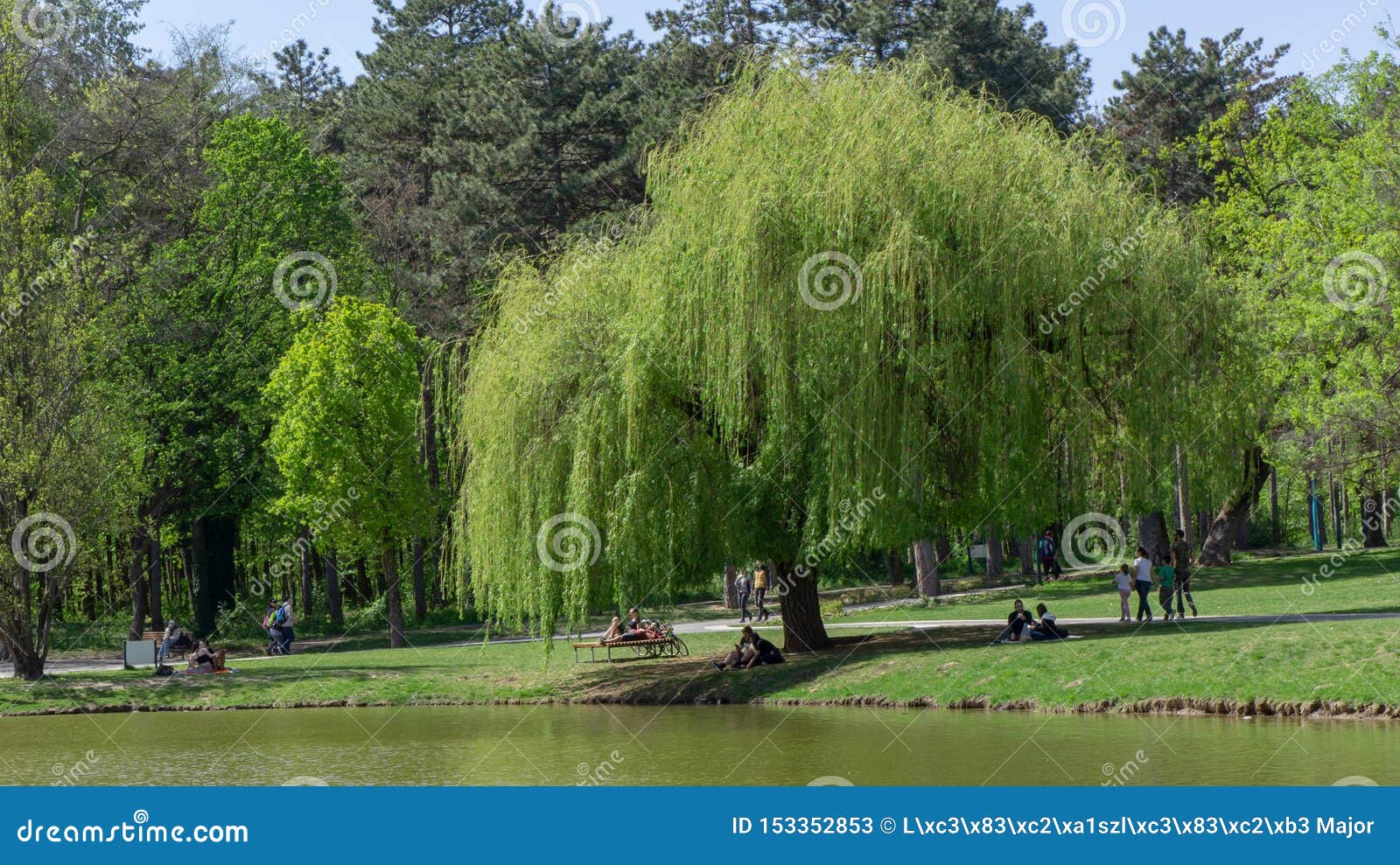 https://mdw-travel-data-us-east-1.s3.amazonaws.com/img/country/Hungary/Great-Forest-Park/img_01.jpg