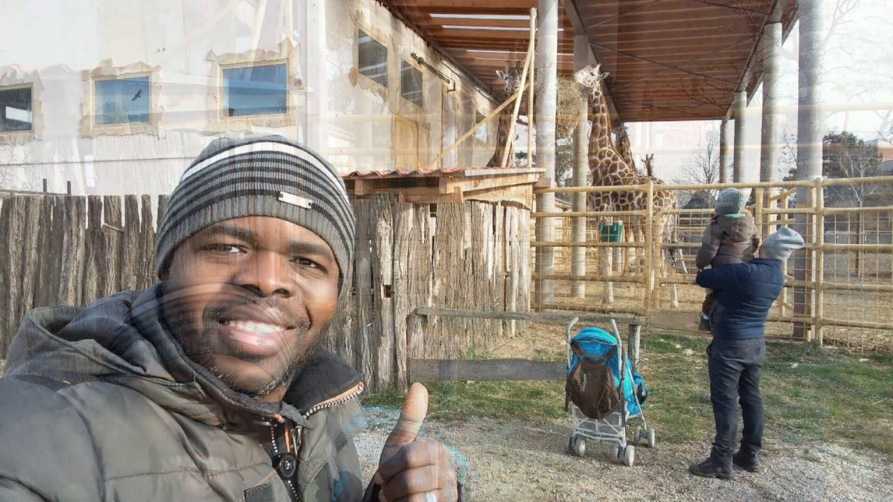 https://mdw-travel-data-us-east-1.s3.amazonaws.com/img/country/Hungary/Gyor-Zoo/img_01.jpg