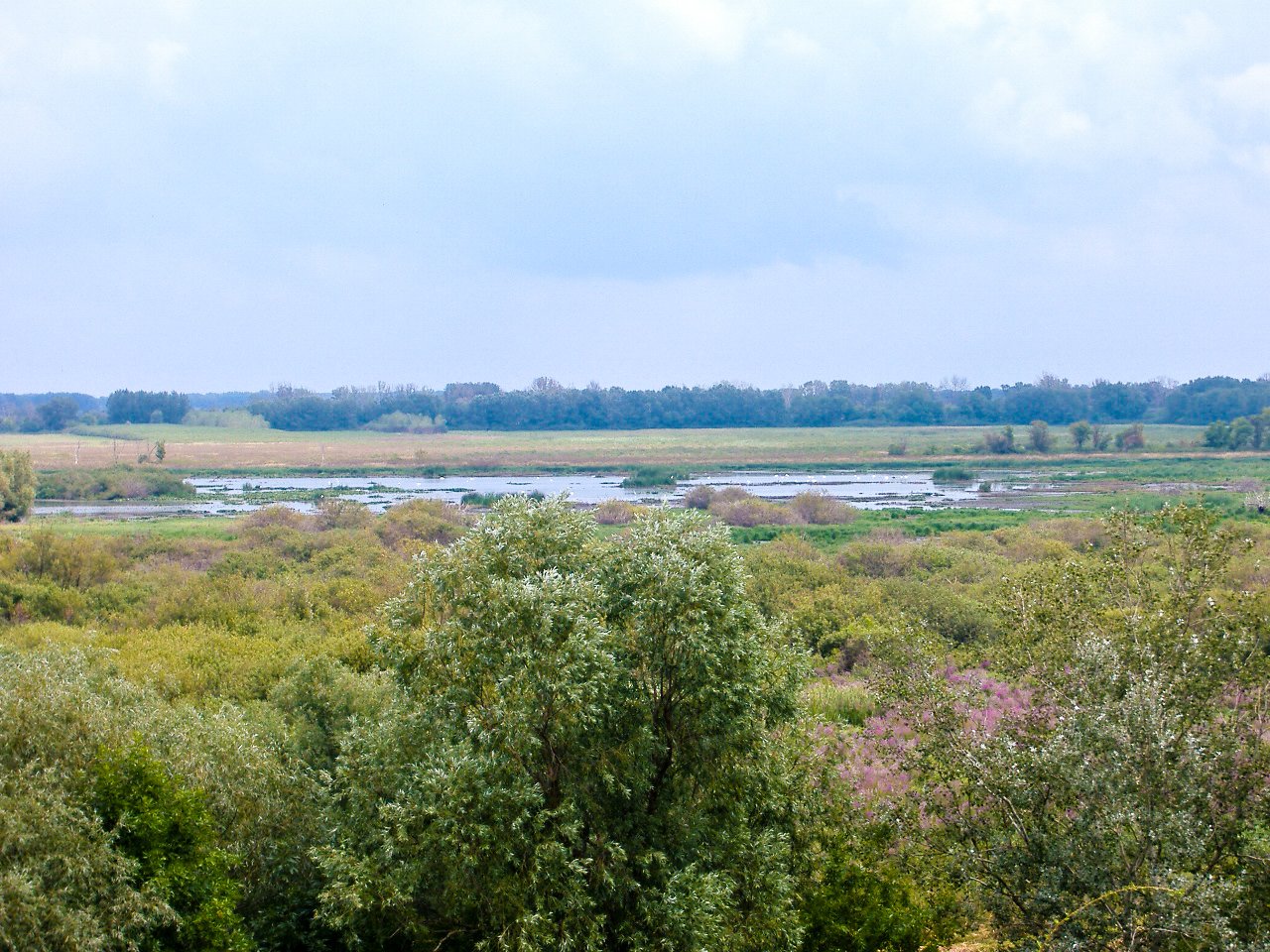 https://mdw-travel-data-us-east-1.s3.amazonaws.com/img/country/Hungary/Kiskunsag-National-Park/img_01.jpg