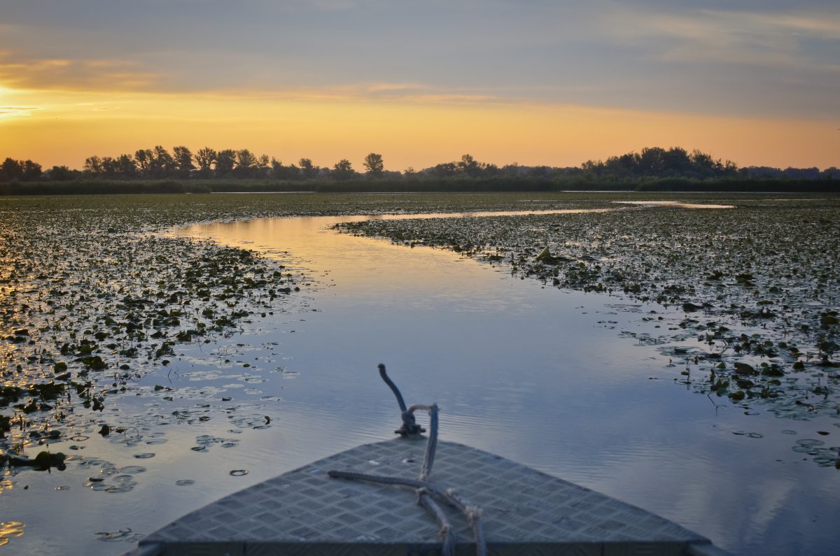 https://mdw-travel-data-us-east-1.s3.amazonaws.com/img/country/Hungary/Lake-Tisza/img_02.jpg
