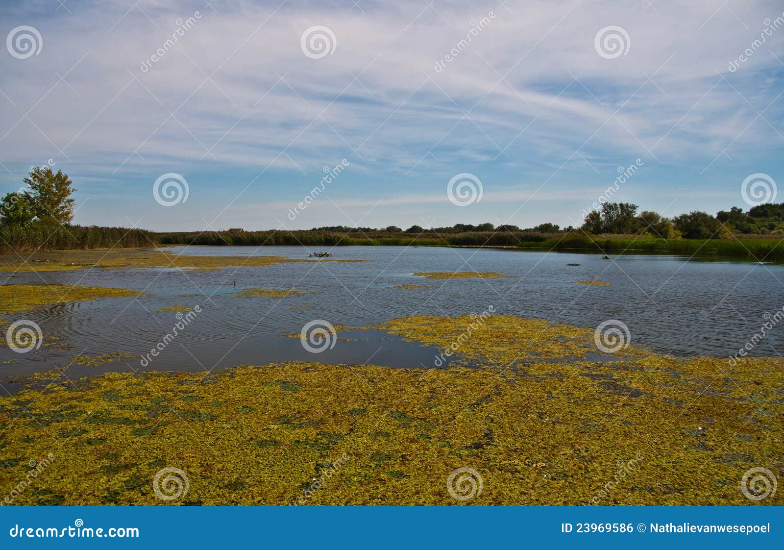 https://mdw-travel-data-us-east-1.s3.amazonaws.com/img/country/Hungary/Lake-Tisza/img_03.jpg