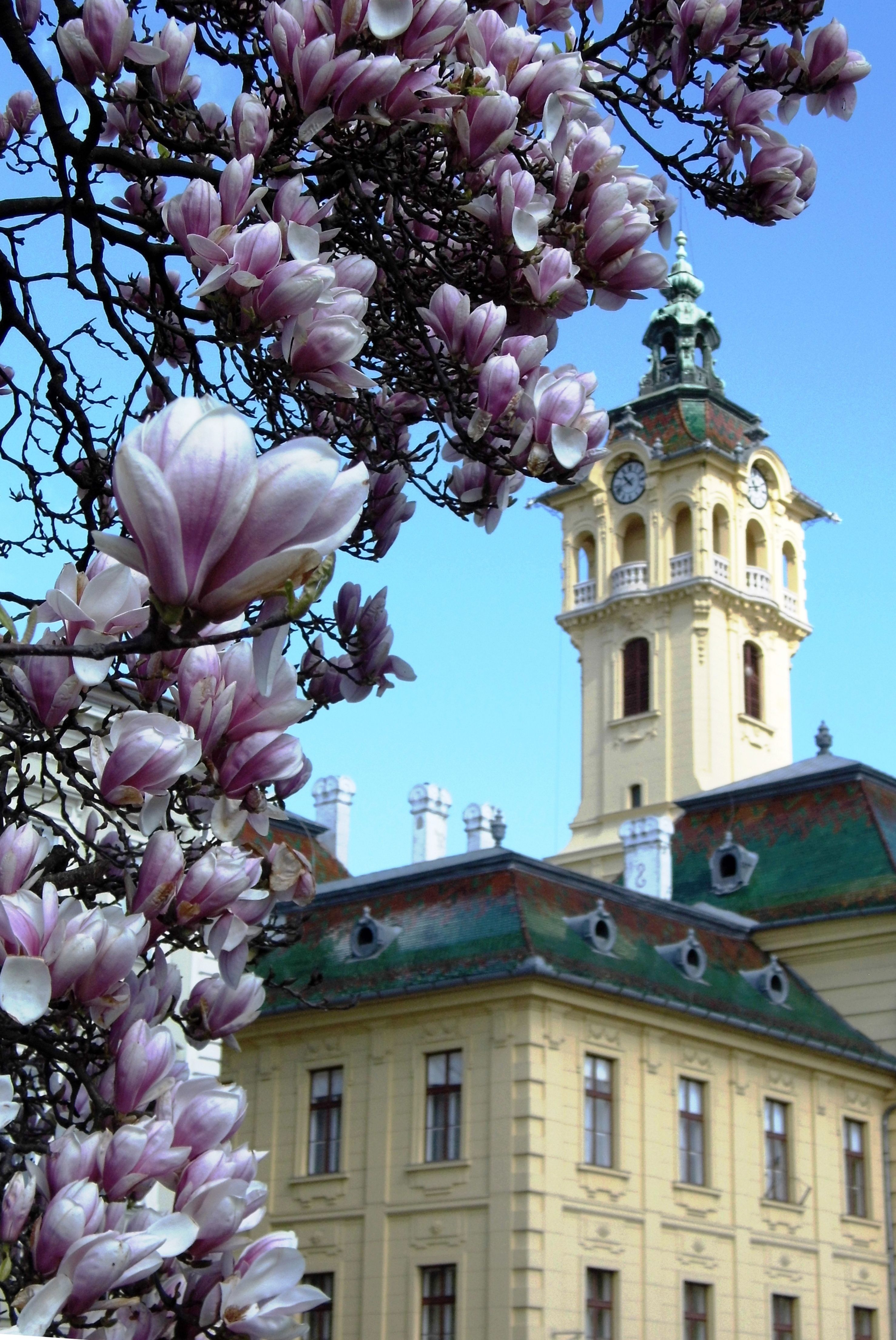 https://mdw-travel-data-us-east-1.s3.amazonaws.com/img/country/Hungary/Main-Street--Szechenyi-Istvan-Street-/img_02.jpg
