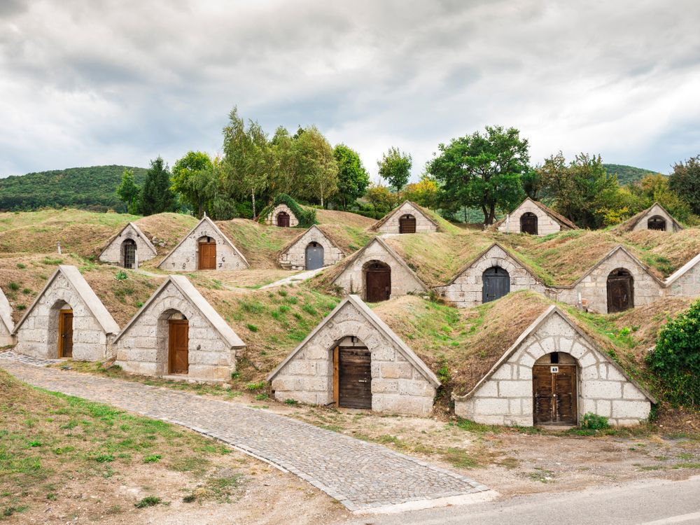 https://mdw-travel-data-us-east-1.s3.amazonaws.com/img/country/Hungary/Majestic-Wine-Cellars/img_03.jpg