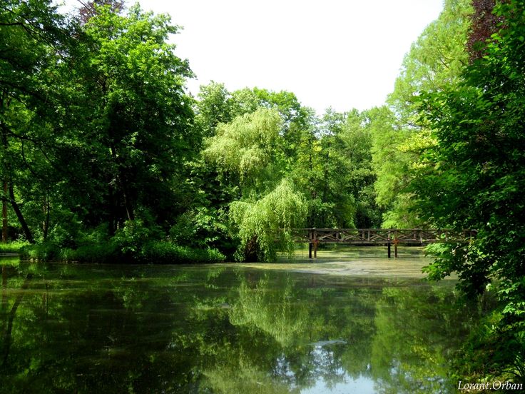 https://mdw-travel-data-us-east-1.s3.amazonaws.com/img/country/Hungary/Mindszent-Arboretum/img_02.jpg