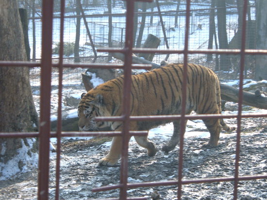 https://mdw-travel-data-us-east-1.s3.amazonaws.com/img/country/Hungary/Miskolc-Zoo-and-Culture-Park/img_01.jpg