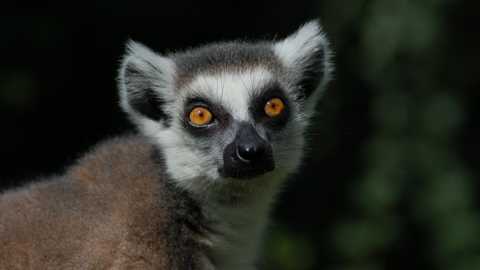 https://mdw-travel-data-us-east-1.s3.amazonaws.com/img/country/Hungary/Miskolc-Zoo-and-Culture-Park/img_02.jpg