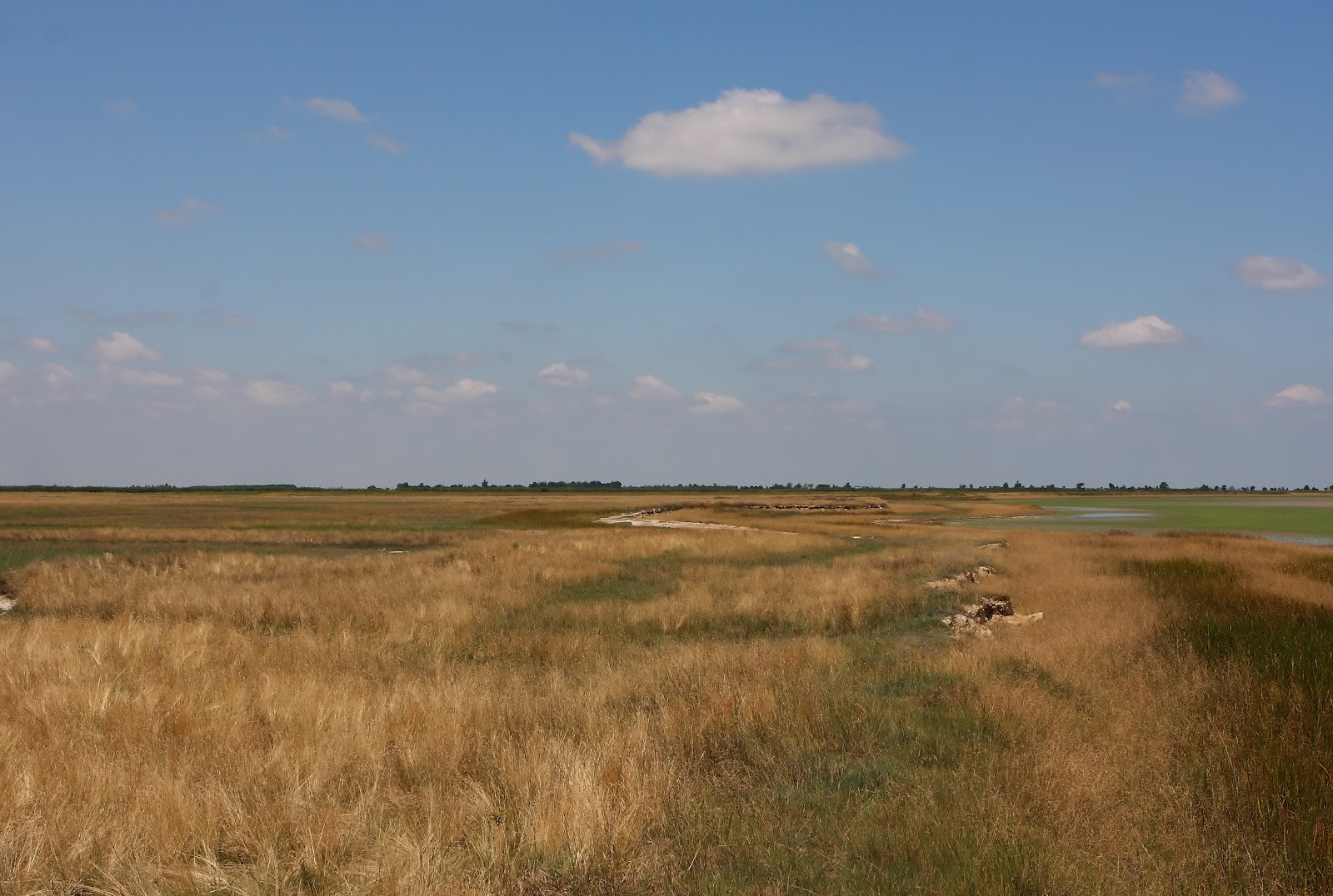 https://mdw-travel-data-us-east-1.s3.amazonaws.com/img/country/Hungary/Puszta-Animal-Park/img_02.jpg