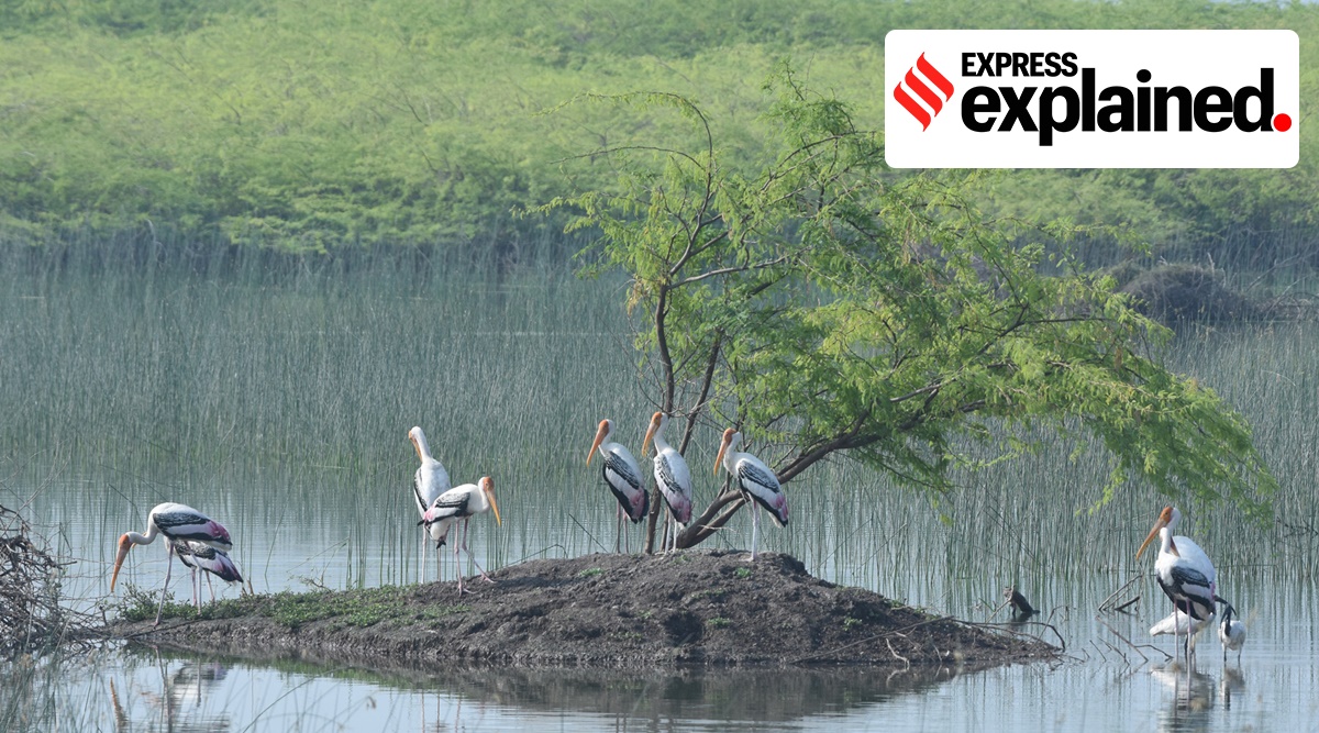https://mdw-travel-data-us-east-1.s3.amazonaws.com/img/country/Hungary/Ramsar-Wetland-Center/img_03.jpg