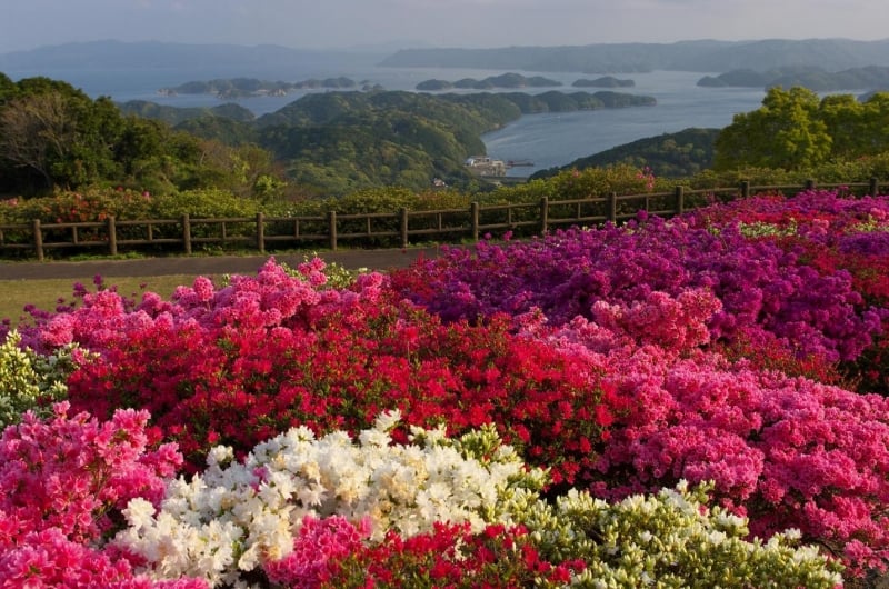 https://mdw-travel-data-us-east-1.s3.amazonaws.com/img/country/Hungary/Sasebo-Park/img_03.jpg