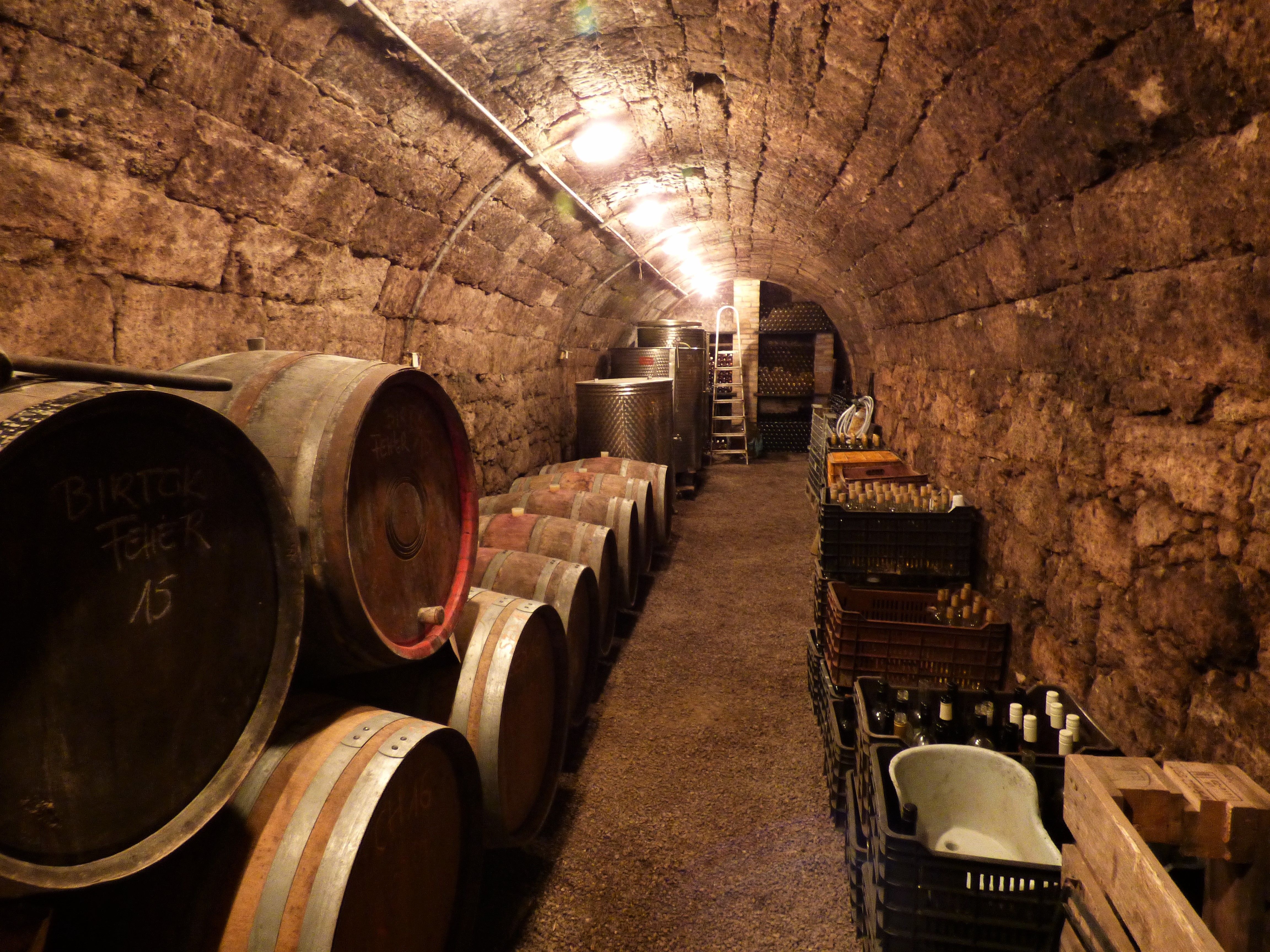 https://mdw-travel-data-us-east-1.s3.amazonaws.com/img/country/Hungary/Szentesi-Pincesor-Wine-Bar/img_02.jpg