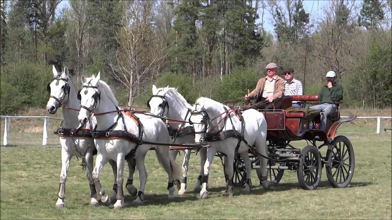 https://mdw-travel-data-us-east-1.s3.amazonaws.com/img/country/Hungary/Szilvasvarad-Lipizzan-Stud-Farm/img_05.jpg