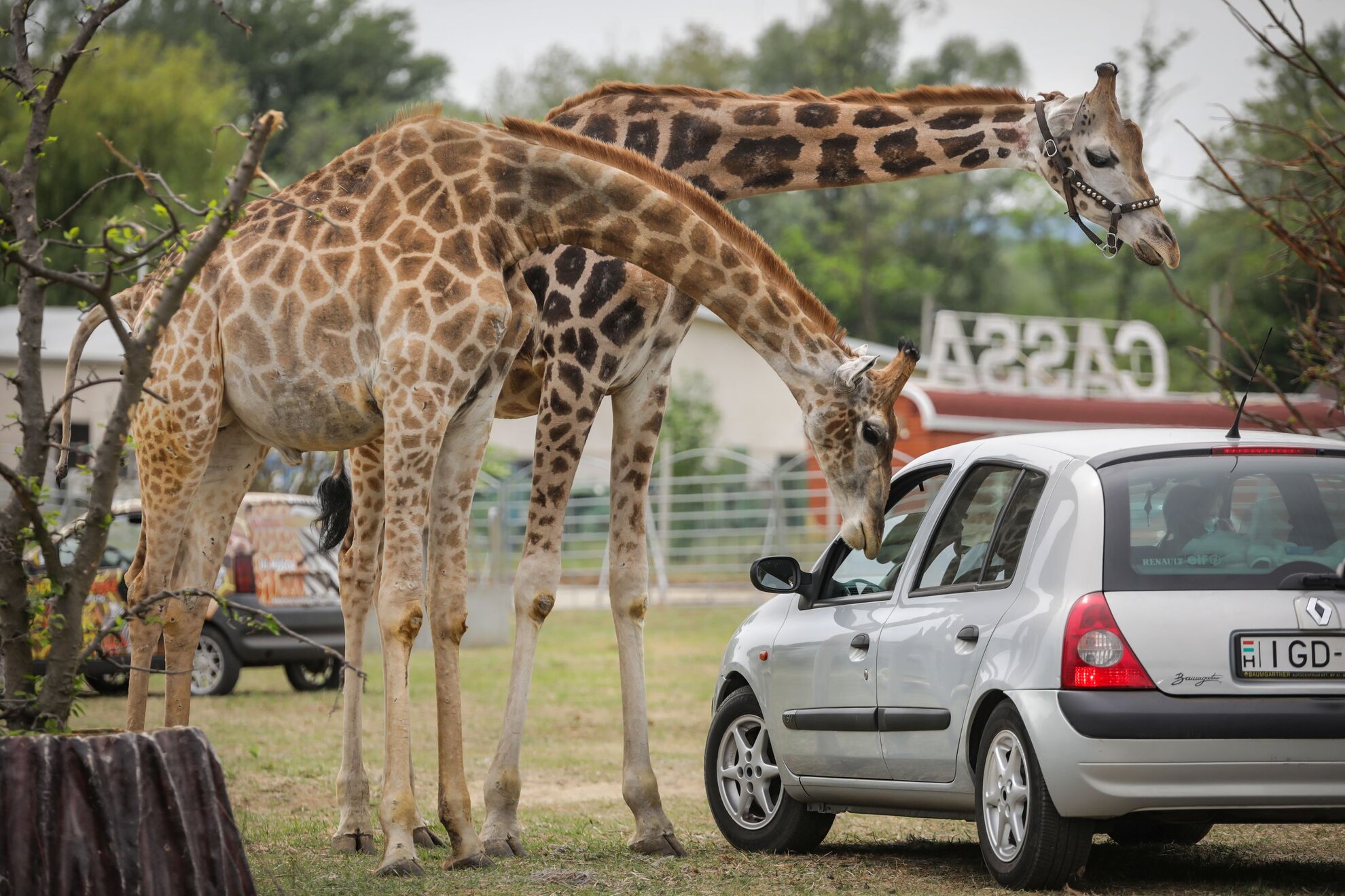 https://mdw-travel-data-us-east-1.s3.amazonaws.com/img/country/Hungary/Tatabanya---Off-Road-4x4-Safari-Adventure/img_03.jpg